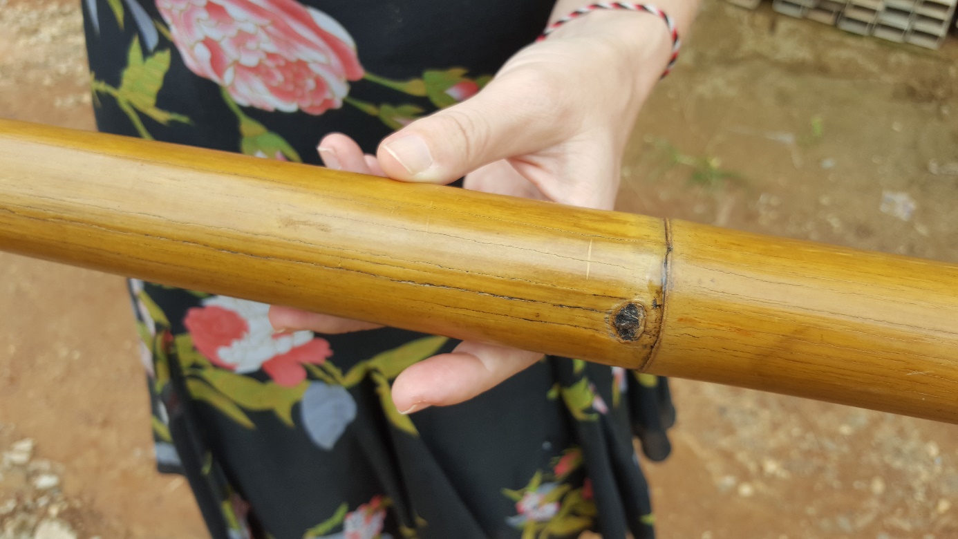 Lucia holding a piece of finished bamboo ready to use after undergoing lots of treatments to become strong and sustainable 