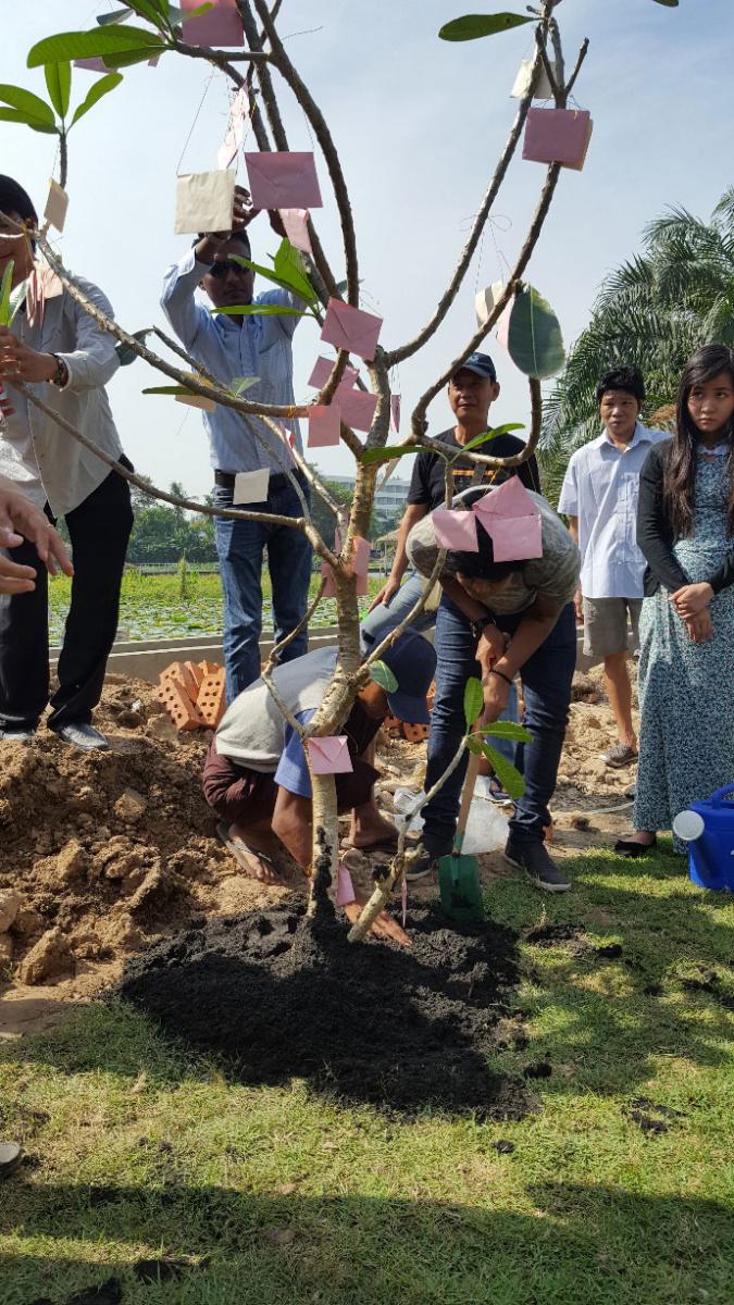 SEEDS team attaches pink envelopes on a small Frangipani tree including individual wishes.